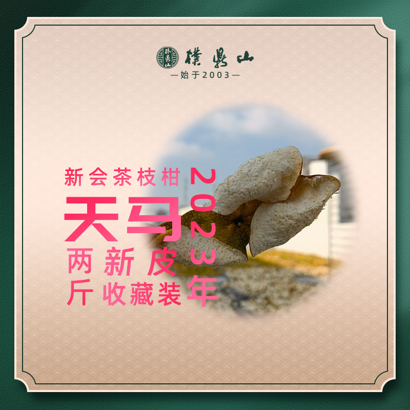 「天马」2023新会茶枝柑新皮收藏装 1000克