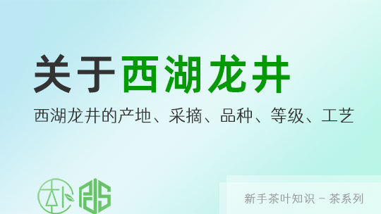 带你一起了解西湖龙井茶…