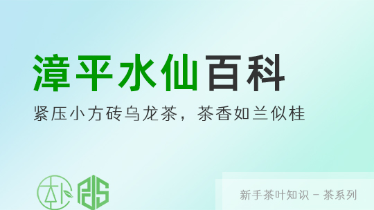 乌龙茶中被遗忘的贵族：漳平水仙茶